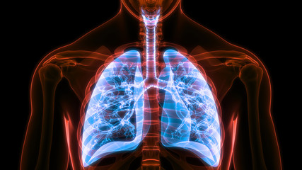 폐렴의 원인과 증상 예방 및 치료 방법